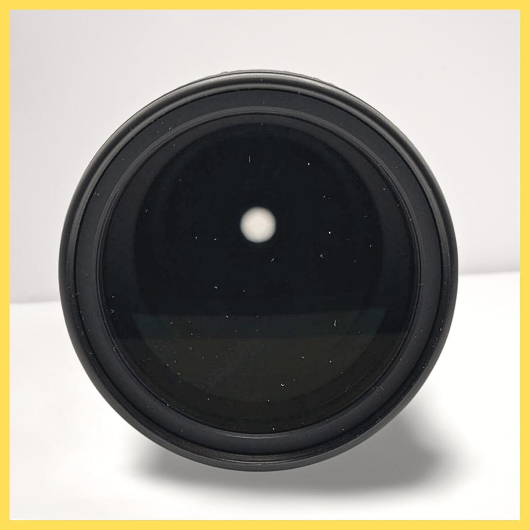 【極美品】ニコン Nikon AF-S 55-300mm☆超望遠レンズ！