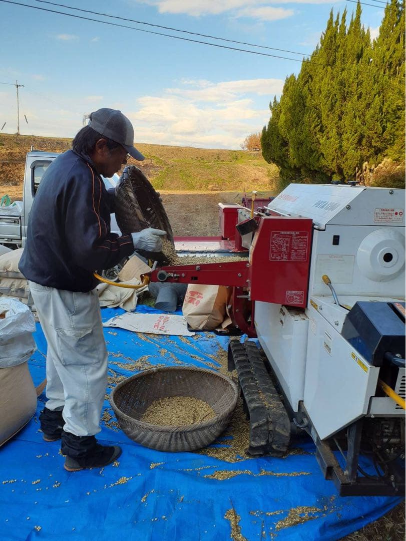 自然栽培　幻の大豆『八天狗』15kg 熊本県産