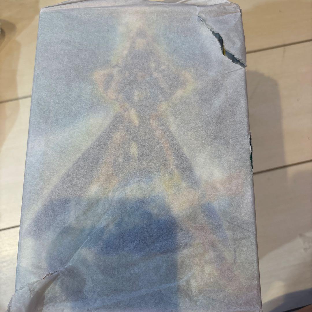 聖闘士聖衣神話　水瓶座アクエリアスカミュ　完品