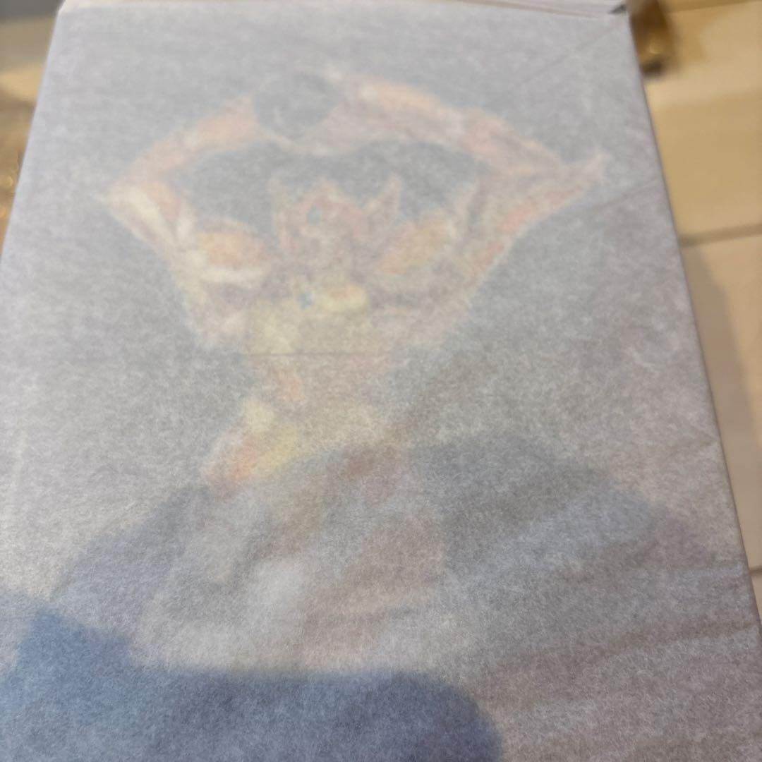 聖闘士聖衣神話　水瓶座アクエリアスカミュ　完品