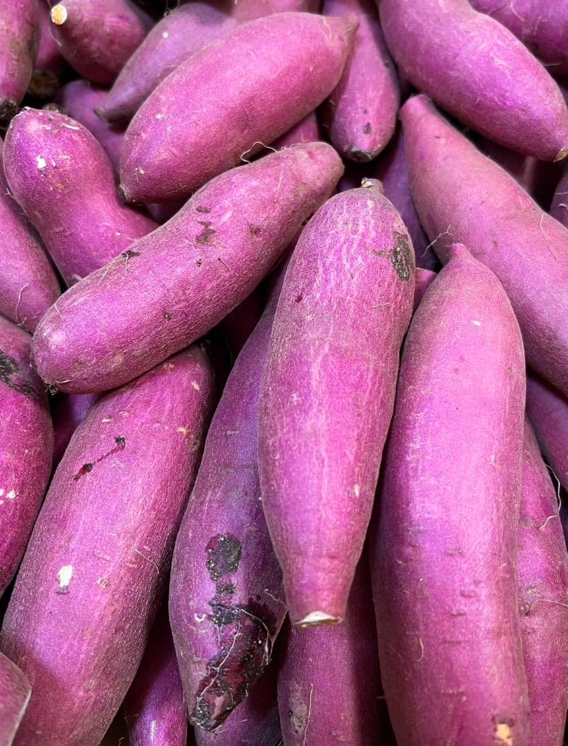 向日葵さん専用