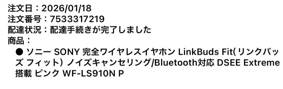 ソニー(SONY) イヤホン LinkBuds Fit/WF-LS910N P