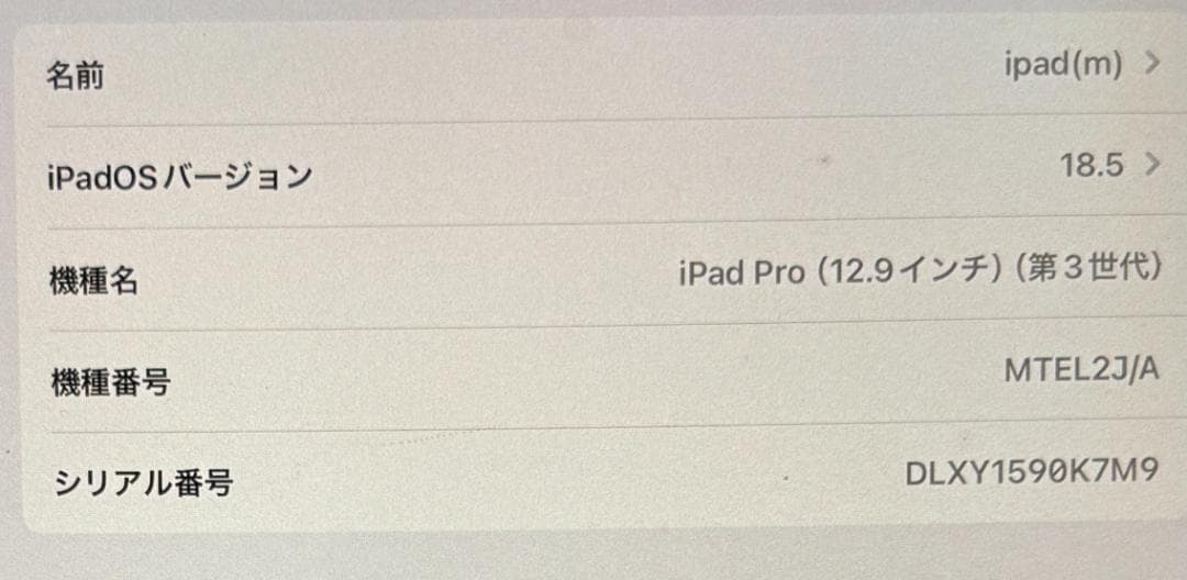 Apple iPad Pro (12.9インチ) 第3世代 スペースグレー