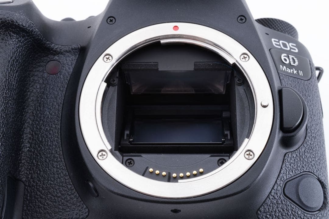 Canon EOS 6D mark II標準&望遠ダブルレンズセット