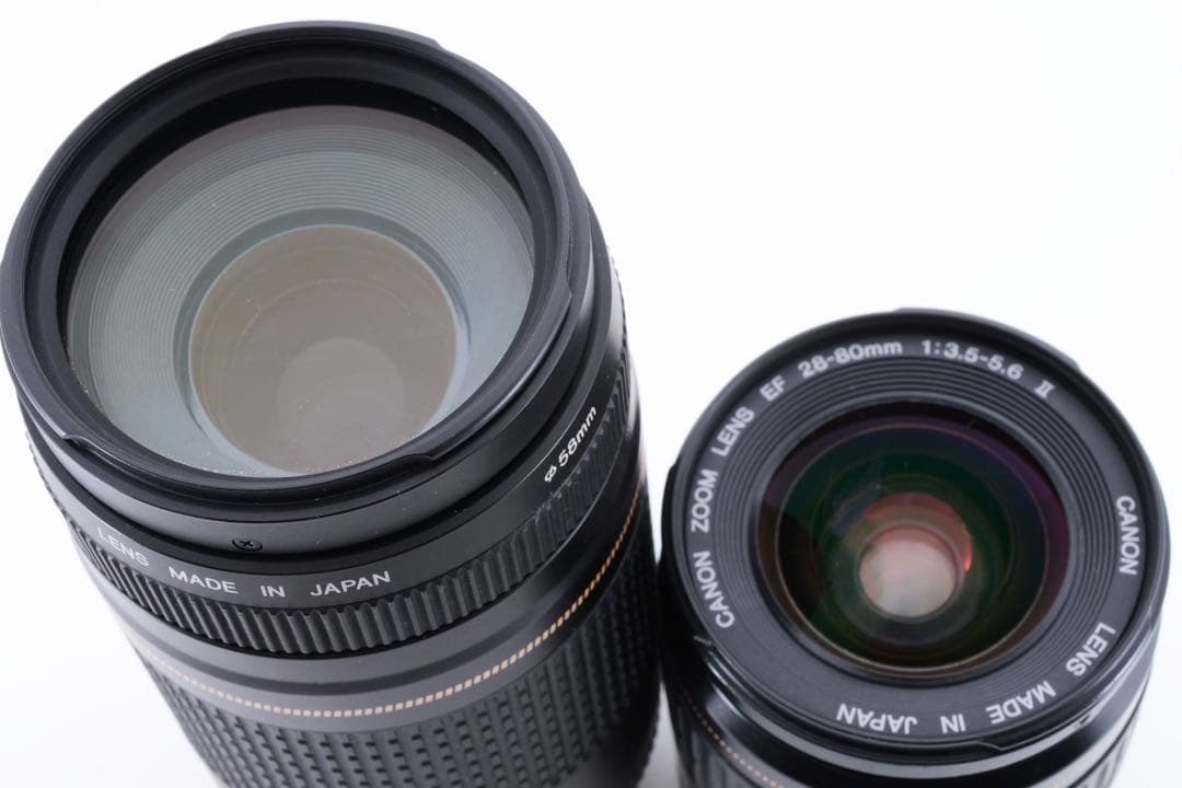 Canon EOS 6D mark II標準&望遠ダブルレンズセット