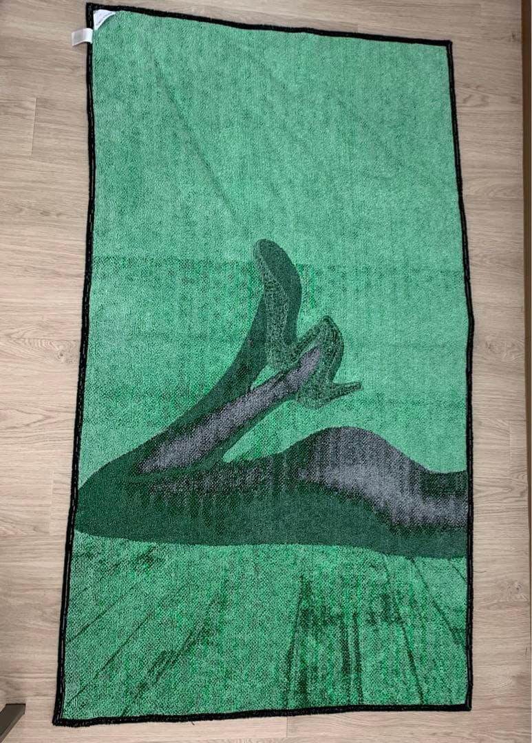 【美品】Bottega Veneta　ビーチタオル　コットンマット