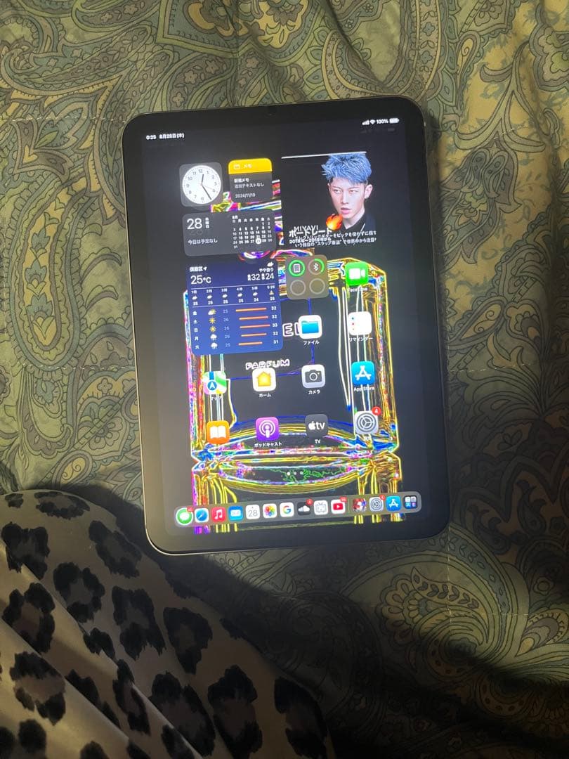 iPad mini 第7世代128gb WiFiセルラー 美品