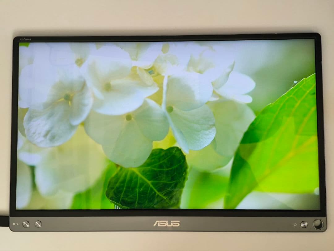 ASUS ZenScreen MB16AC ポータブルモニター 中古
