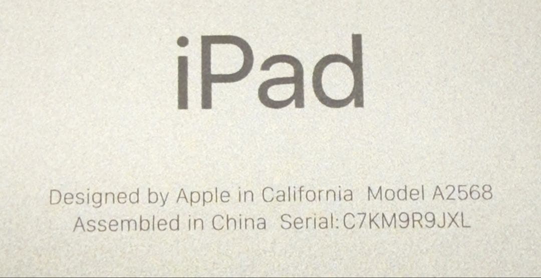 iPad mini (第6世代) Wi-Fi + Cellular 256GB