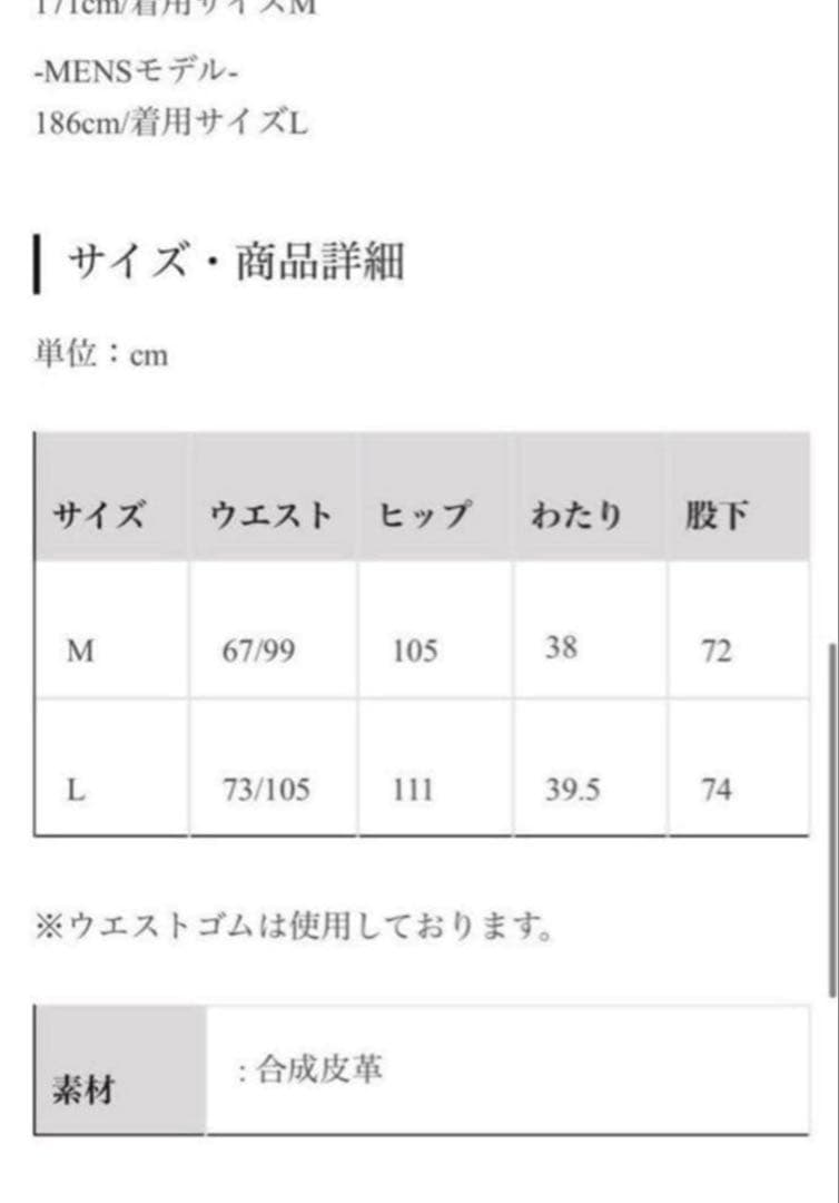 Jent Louis Zip Leather Pants ジェントルイス