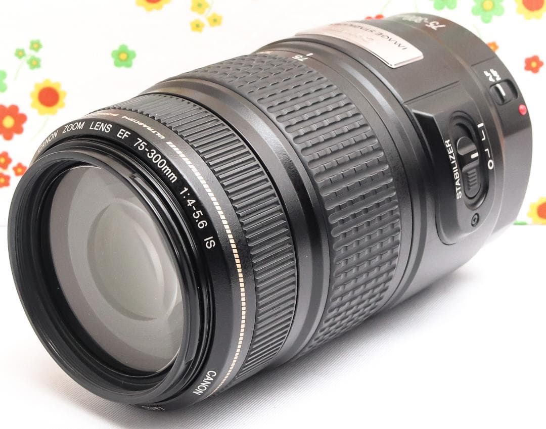 Canon EF 75-300mm IS USM☆超望遠レンズ☆大人気望遠レンズ
