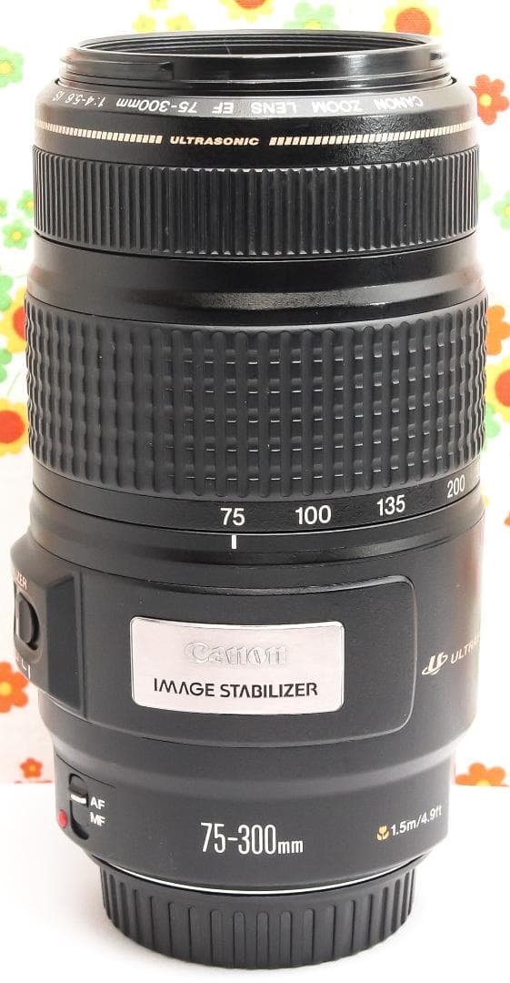 Canon EF 75-300mm IS USM☆超望遠レンズ☆大人気望遠レンズ
