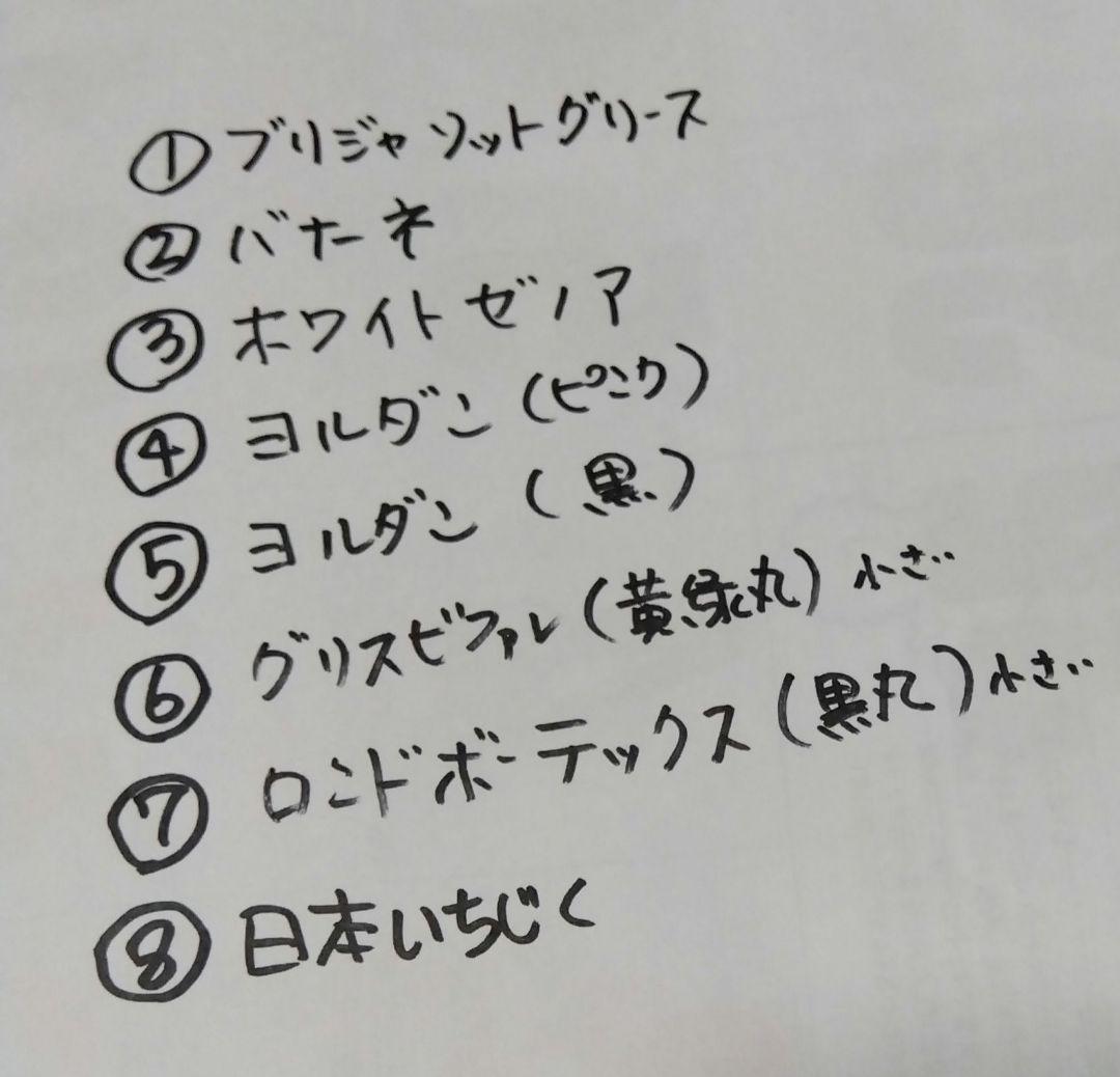 無花果（いちじく）多品種　コンパクトBOX　農薬不使用です