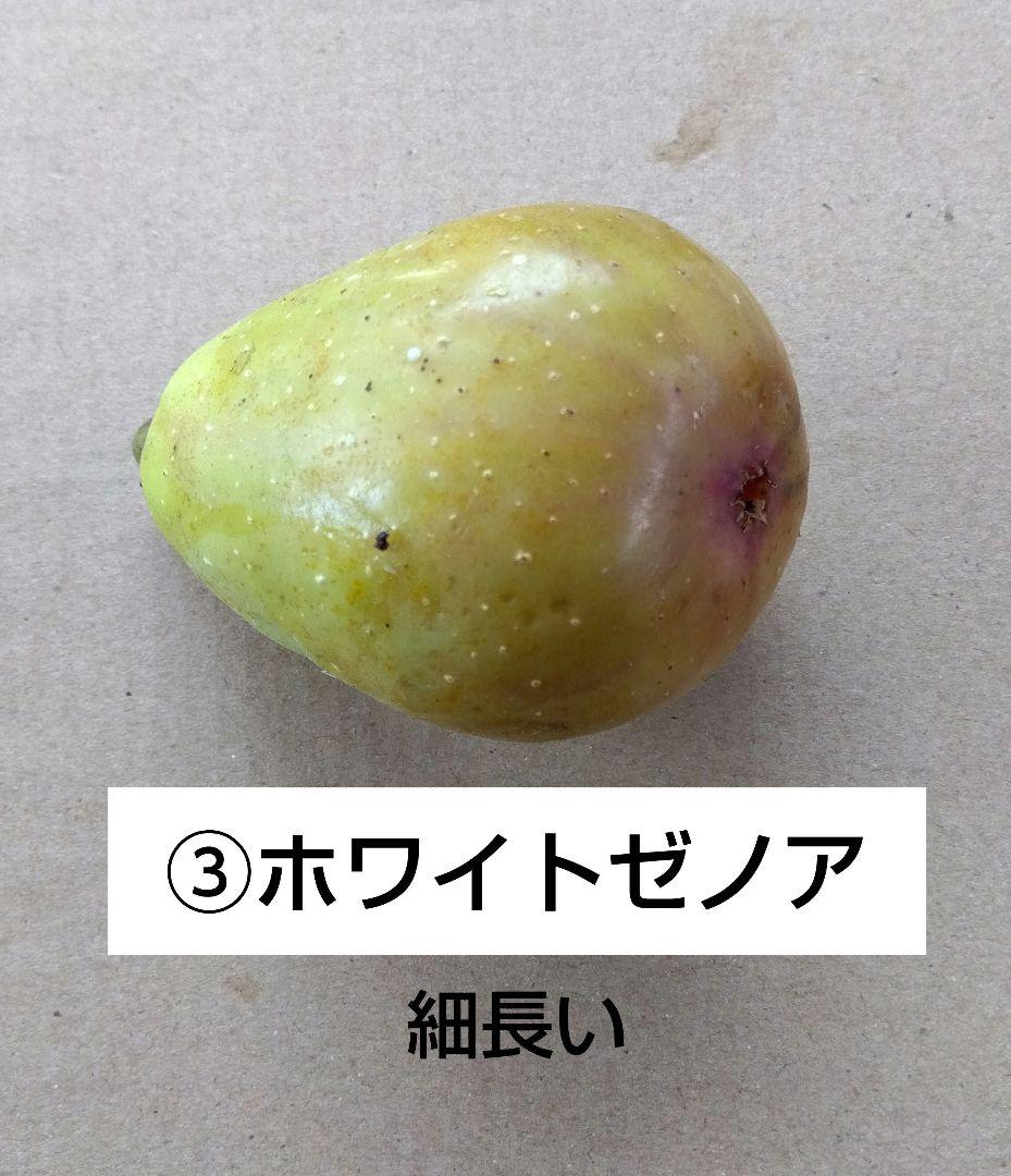 無花果（いちじく）多品種　コンパクトBOX　農薬不使用です
