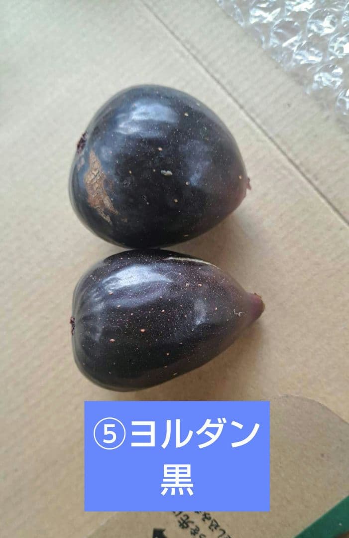 無花果（いちじく）多品種　コンパクトBOX　農薬不使用です