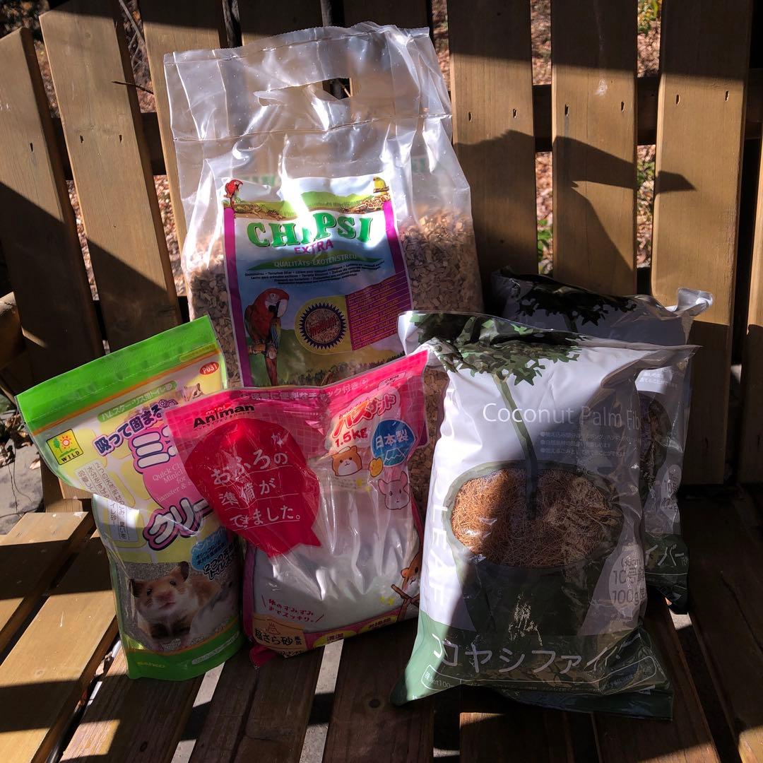 ⭐︎Coroページ⭐︎