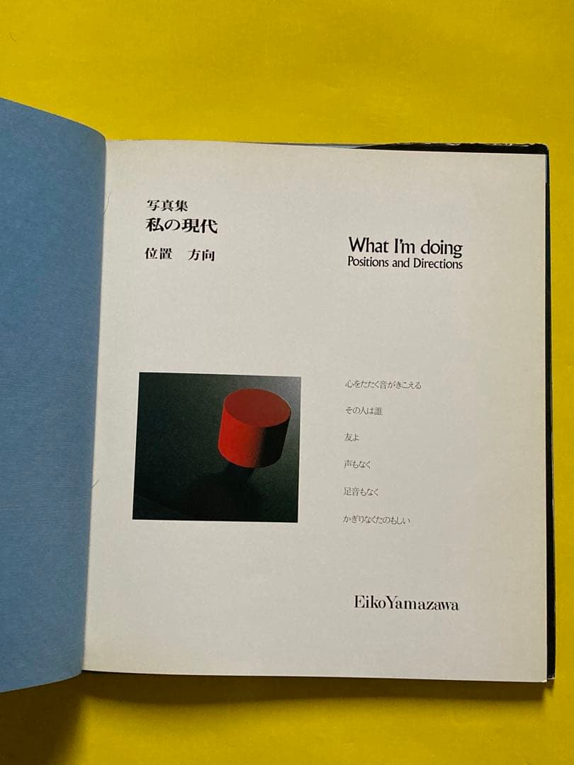 山沢英子　写真集　私の現代