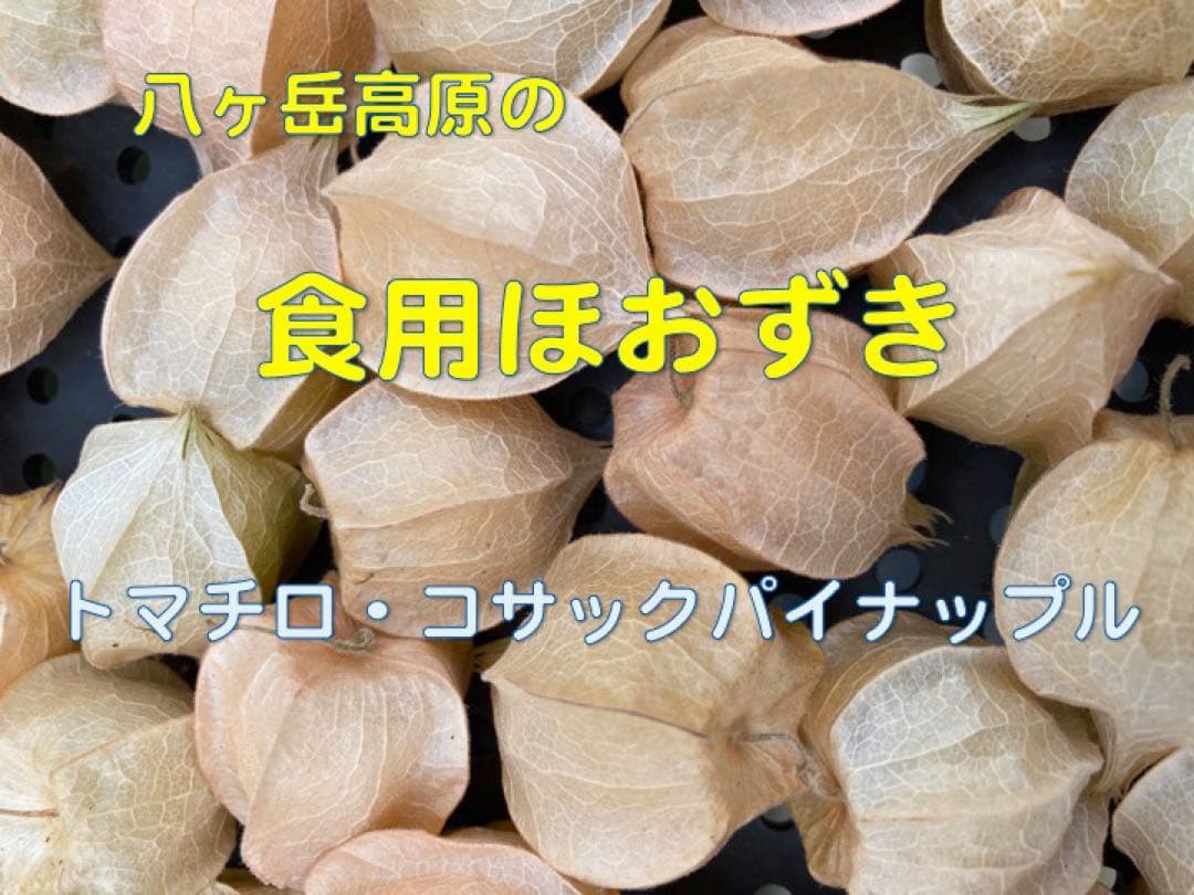 専用出品です　食用ほおずきトマチロコサックパイナップル2kg 9/15(月)発送
