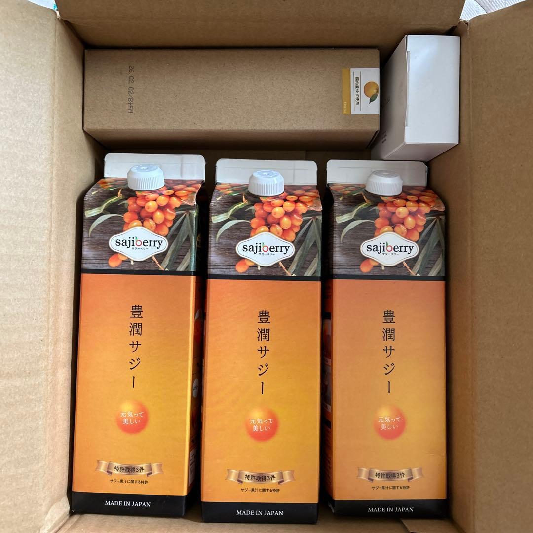 豊潤サジー　3本セット