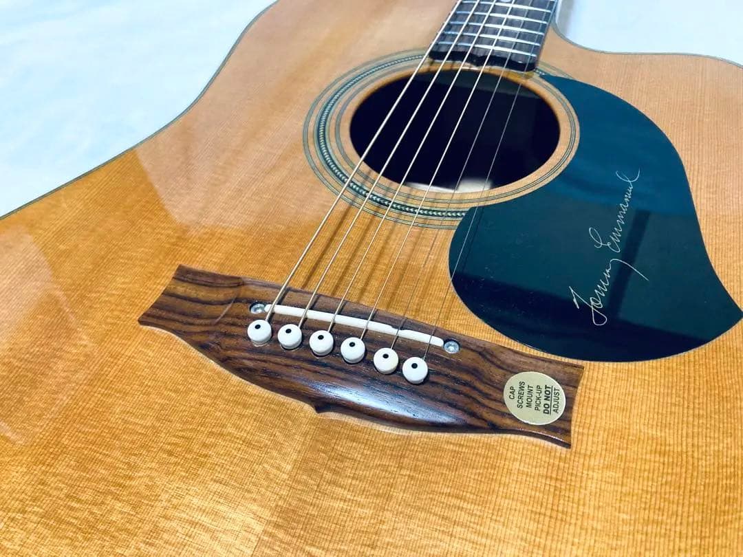 Maton TE-1 Artist メイトン トミー・エマニュエル ケース付