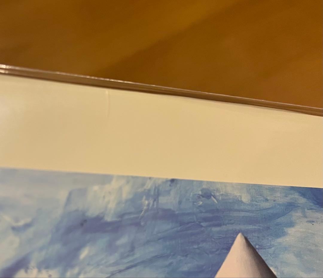 新品未使用品 VIAGRA BOYS viagr aboys レコード