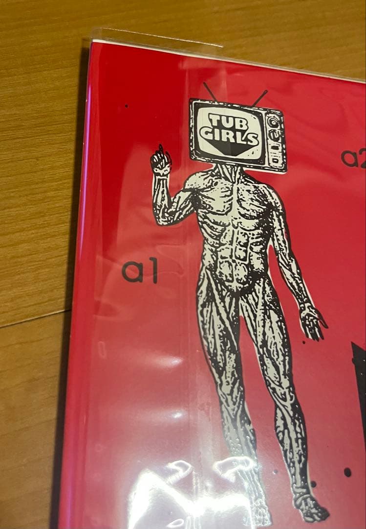 新品未使用品 VIAGRA BOYS viagr aboys レコード