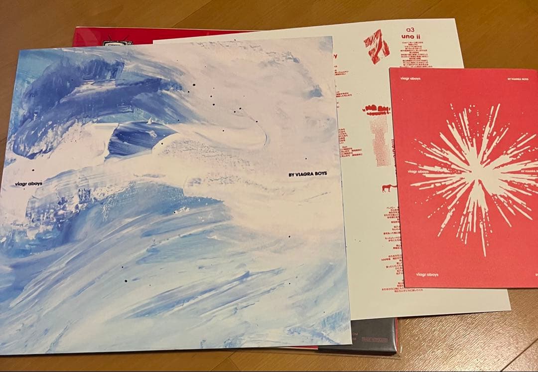 新品未使用品 VIAGRA BOYS viagr aboys レコード