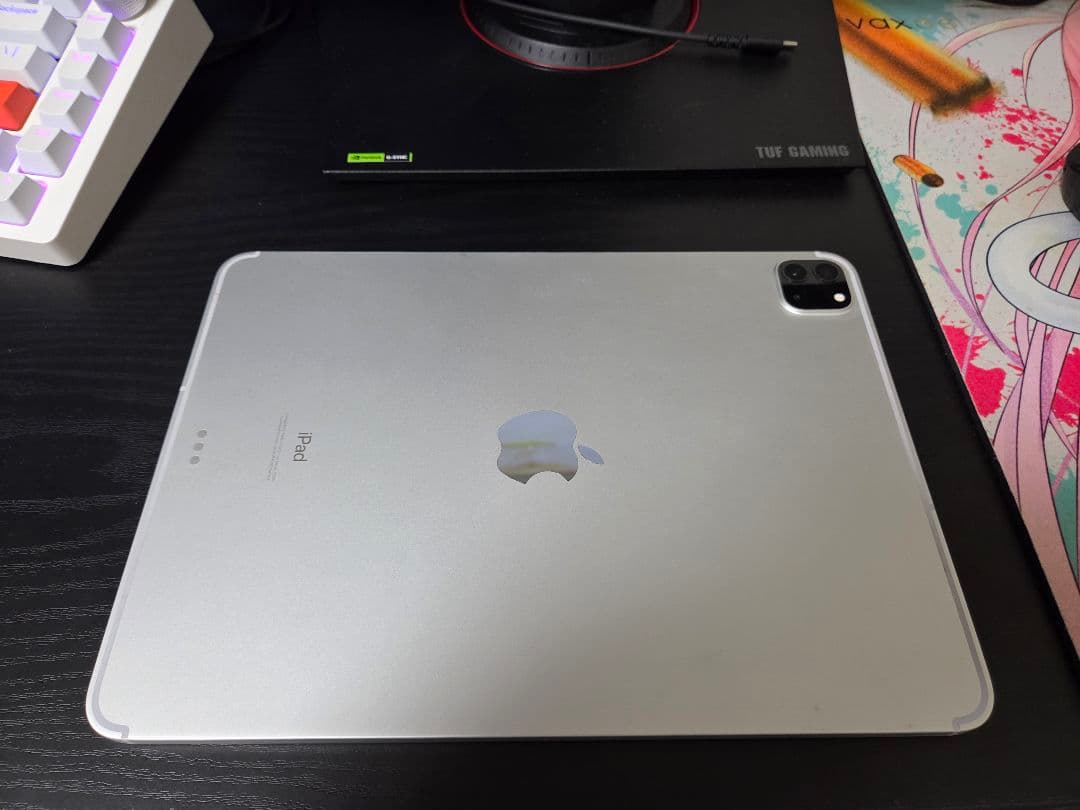 Apple iPad Pro 11インチ 第二世代 256GB IOS26