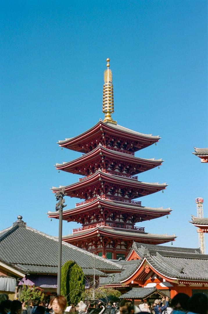 「美品」Nikon F100 Nikkor AF 50mm 1.4D