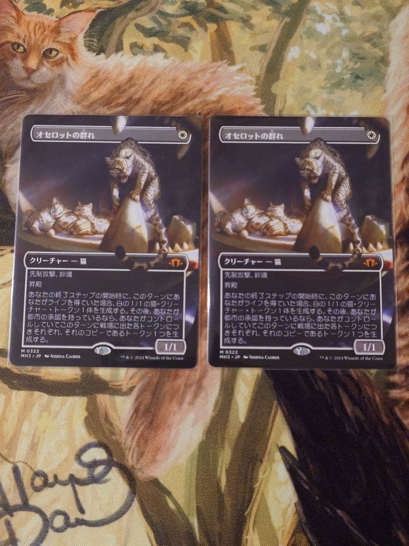 オセロットの群れ　ボーダーレス　2枚セット　日