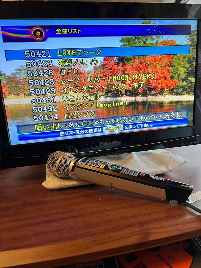 パーソナルカラオケ オンステージ PK-114GT 家庭用カラオケ 増設マイク