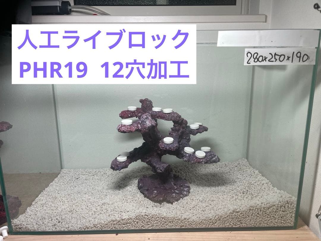 【送料無料】人工ライブロック　PHR19／12穴加工　アク抜き済み安心塗料使用