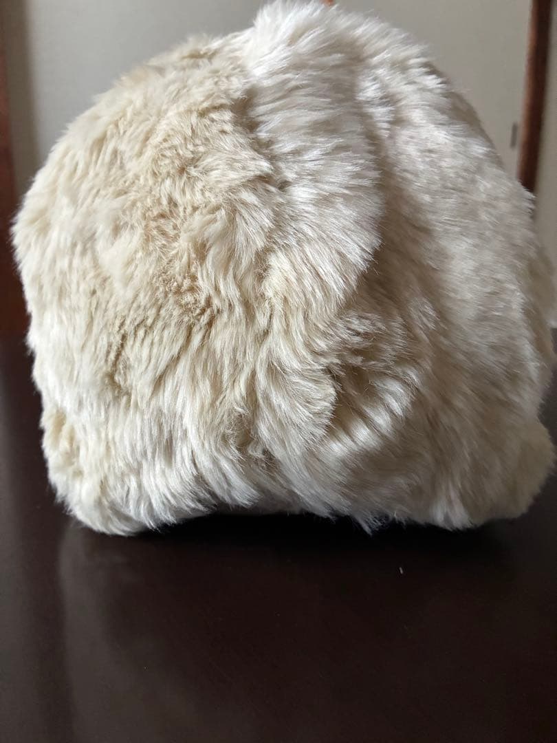 ポイゼ PoisE KITTY 帽子 タグあり