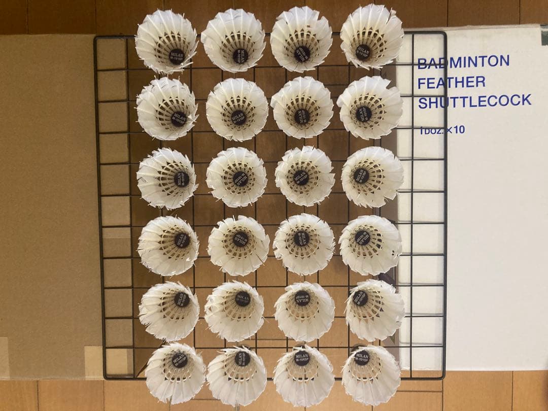 ろいミランM-101SPなど基礎ノック用120個（筒はニューオフィシャル）