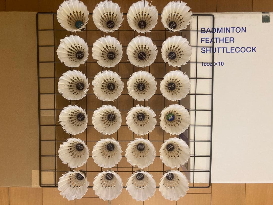 ろいミランM-101SPなど基礎ノック用120個（筒はニューオフィシャル）