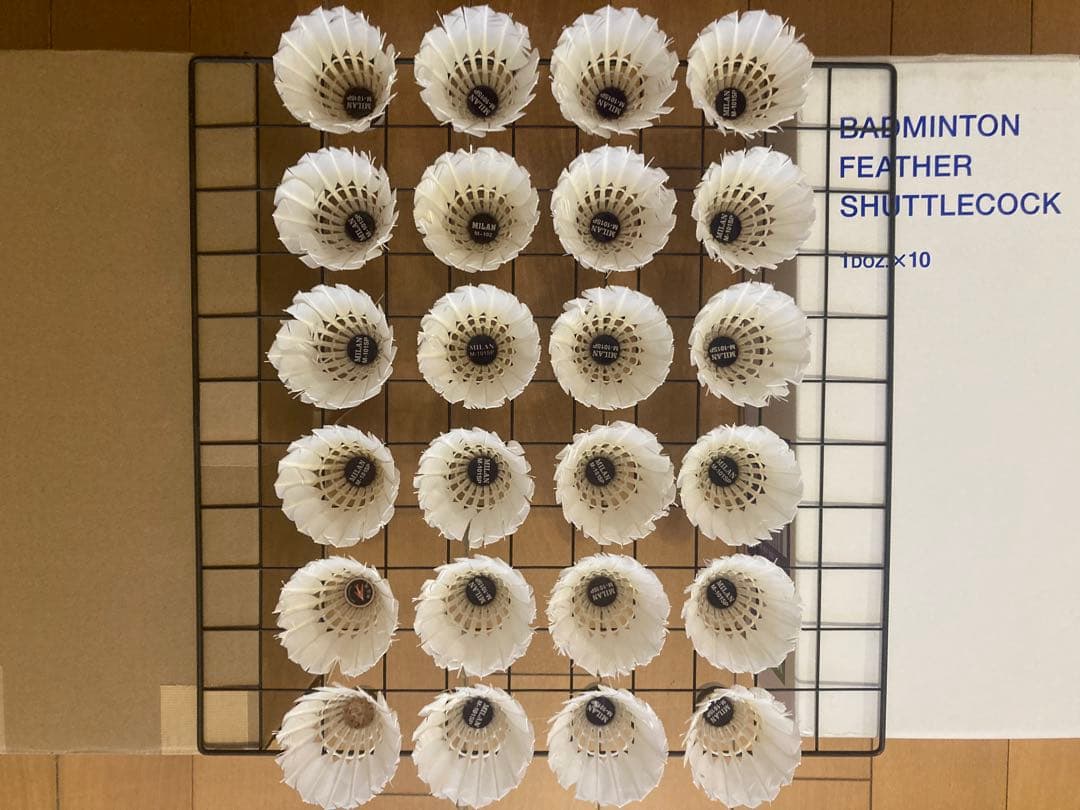 ろいミランM-101SPなど基礎ノック用120個（筒はニューオフィシャル）