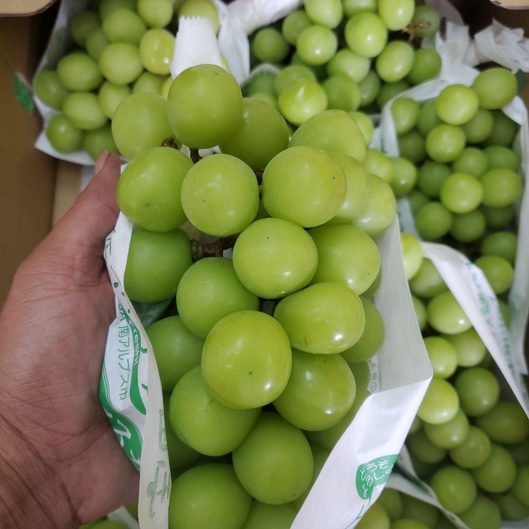 4️⃣ 山梨県産 シャインマスカット １０房入り 箱込み5.5キロ