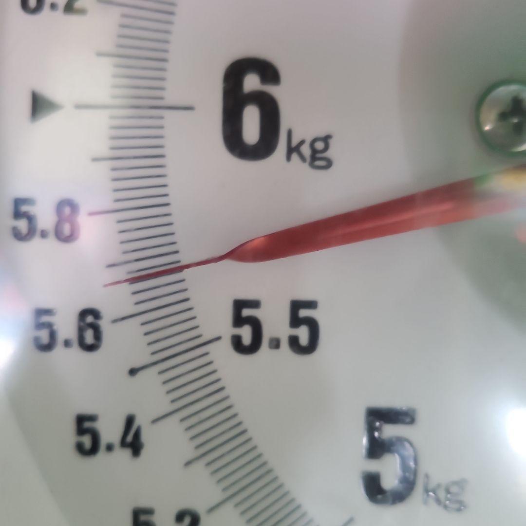 4️⃣ 山梨県産 シャインマスカット １０房入り 箱込み5.5キロ