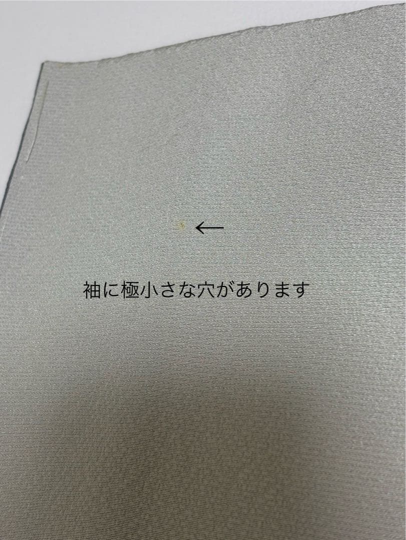 訪問着単品　正絹【254】お宮参り