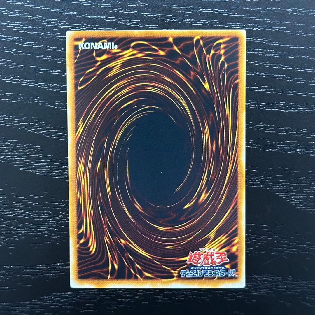 遊戯王 大嵐 ノーマルパラレル PC版