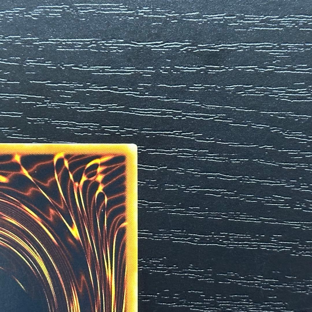 遊戯王 大嵐 ノーマルパラレル PC版