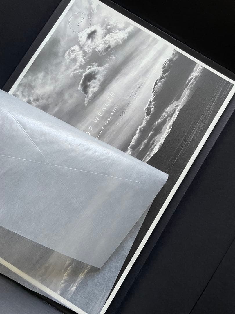 David Sylvian The Perfume of Wealth　サイン付