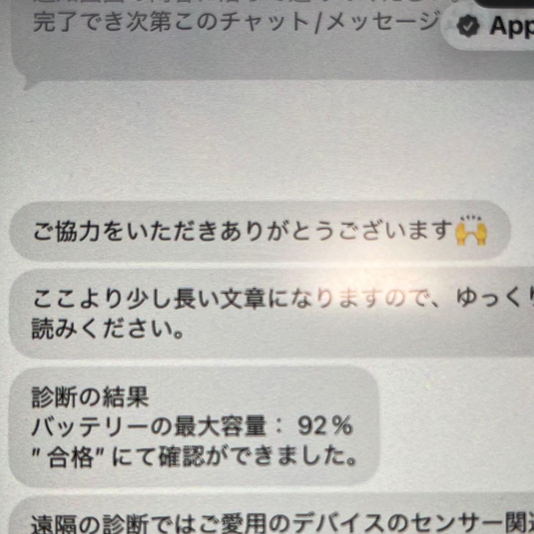 Apple iPad Pro 256GB 箱無し