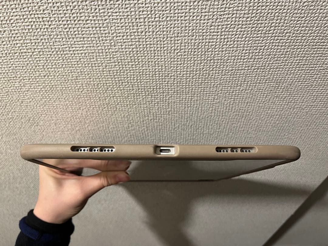 Apple iPad Pro 256GB 箱無し