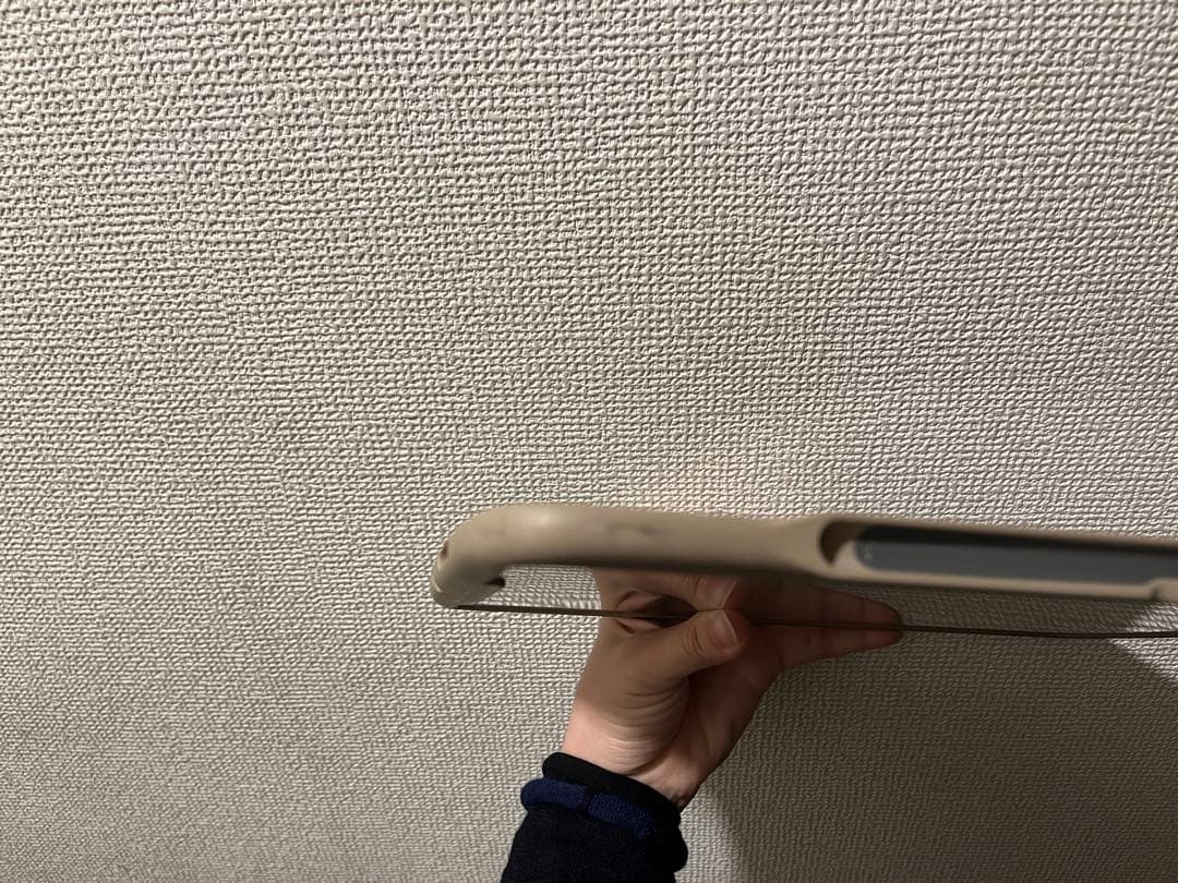 Apple iPad Pro 256GB 箱無し