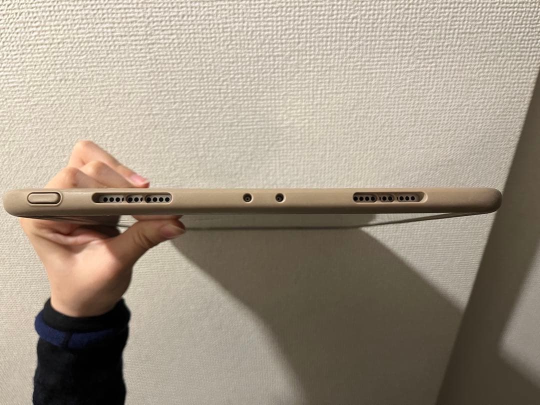 Apple iPad Pro 256GB 箱無し