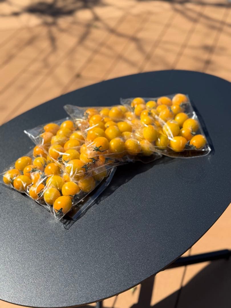 冷凍トマト ミニトマト イエローミミ 業務用 加工用 10kg