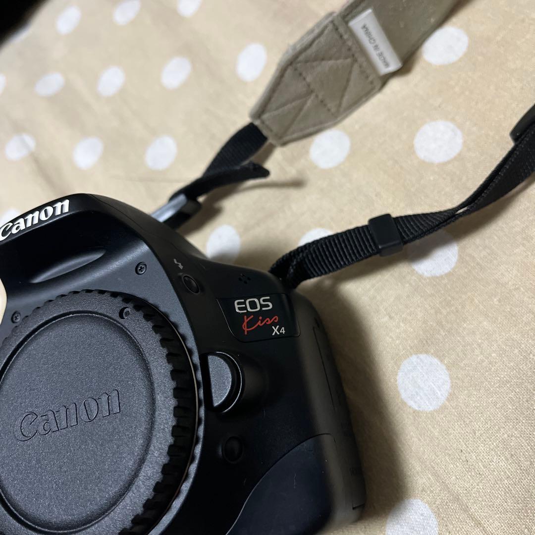 Canon EOS kiss X4 + 18-135 IS + 単焦点レンズ