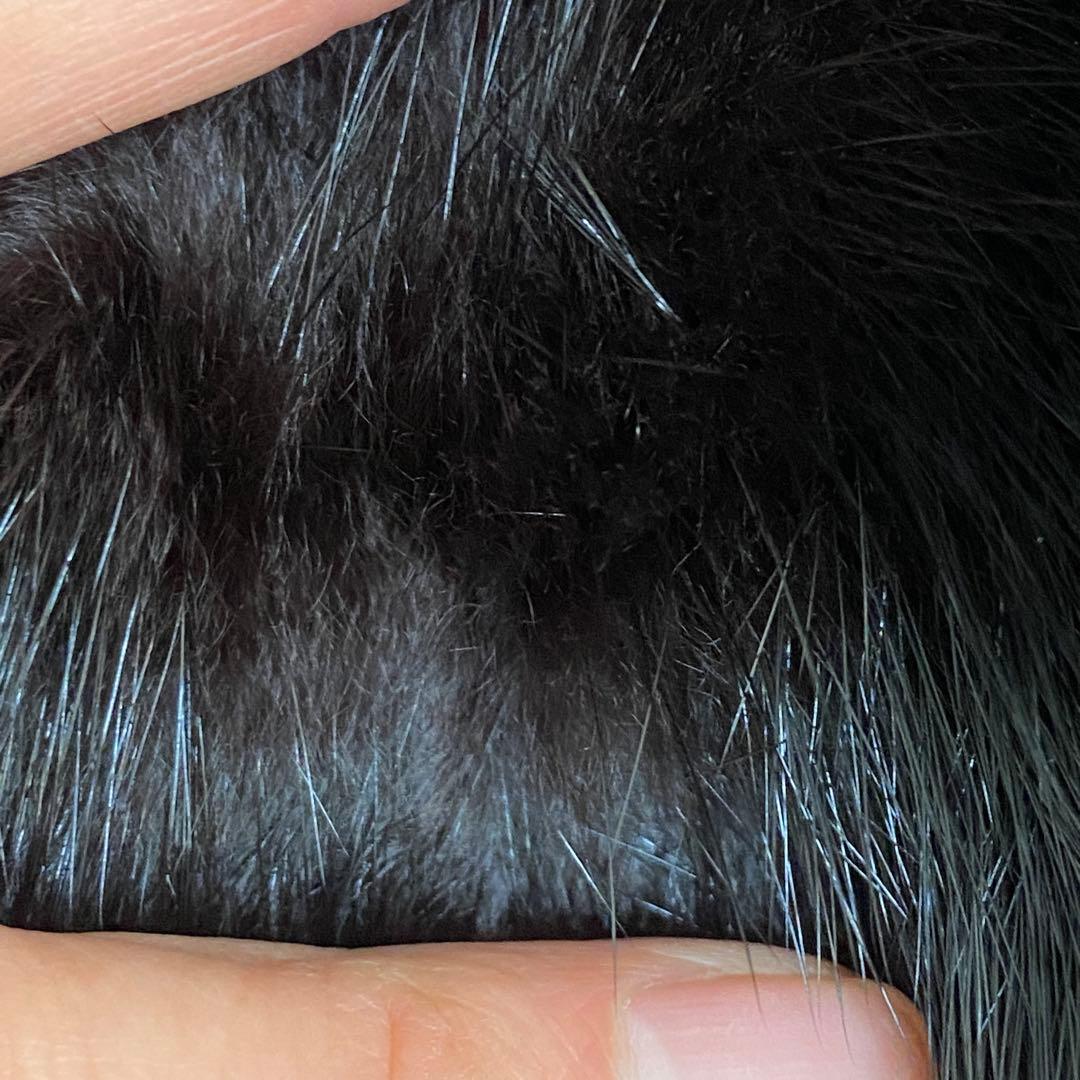 美品⭐️岐阜毛被　GIFUMOUHI リアルファーコート　ブラック