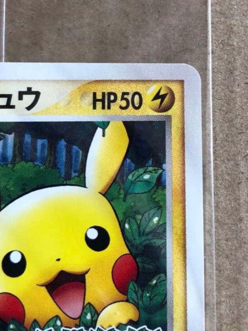 ポケパークのピカチュウ PROMO 043/PCG-P 未開封　高騰中